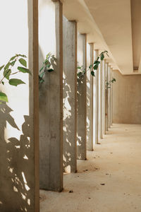 Rear view of woman standing against wall