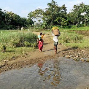  to reduce the health risks, eat fresh vegetables and reduce the economic risks for farmers