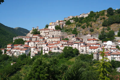 Buildings in town