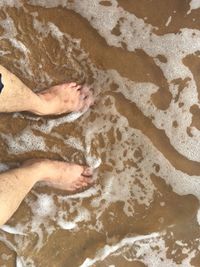 High angle view of man on beach