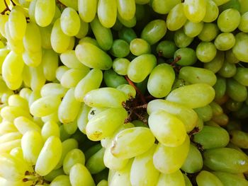 Full frame shot of grapes in market