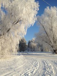 Snow covered field against sky