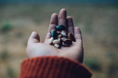 Cropped image of hand holding seeds