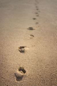 High angle view of footprints on sand at beach