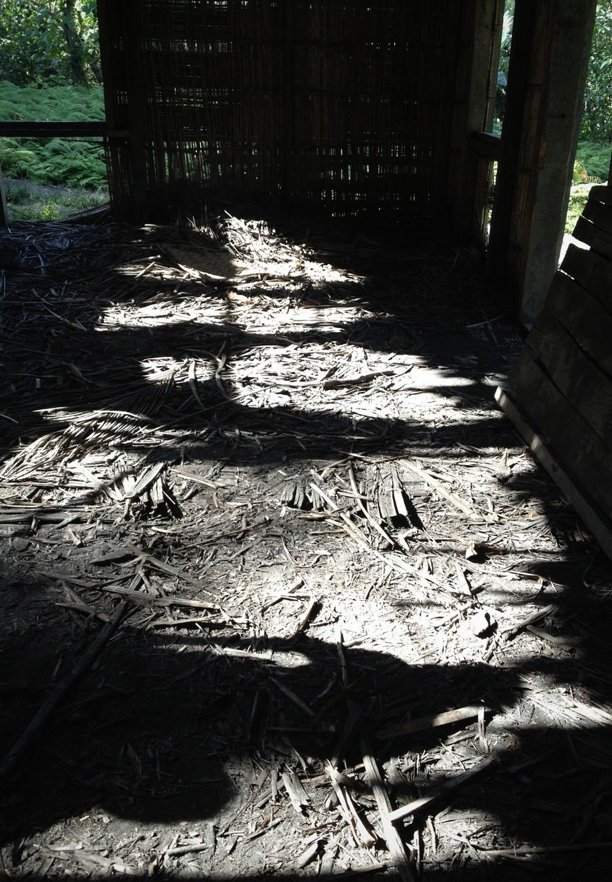 tree, tree trunk, shadow, sunlight, high angle view, bare tree, wood - material, forest, park - man made space, branch, nature, tranquility, outdoors, day, footpath, bench, no people, woodland, the way forward, absence