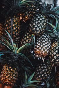 Close-up of fruits for sale