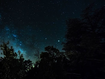 Low angle view of silhouette trees against sky at night