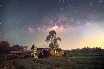 Rear view of woman standing against sky at night