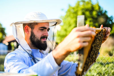 Beekeeper inspecting beehive during sunny day