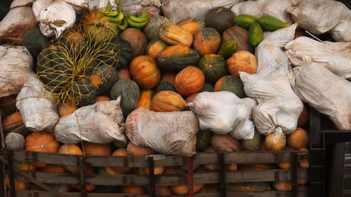 Close-up of pumpkins for sale at market