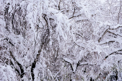 Full frame shot of snow covered land