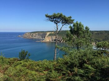 Scenic view of sea against clear sky