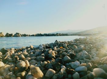 Surface level of pebble beach