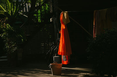 Red light on footpath amidst plants in yard