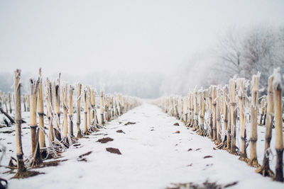 Fence on snowy field against sky during foggy weather