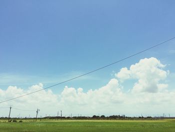 Scenic view of grassy field against sky