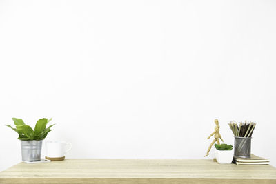 Potted plant on table against white background