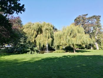 View of golf course against trees