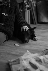 Dog relaxing on floor at home