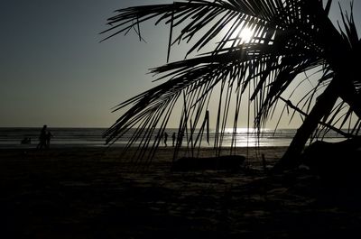 Silhouette palm trees on beach against sky during sunset