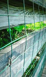 High angle view of plants seen through metal fence