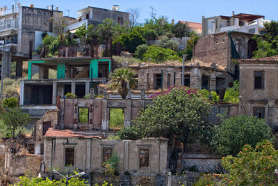 Plants growing on old building