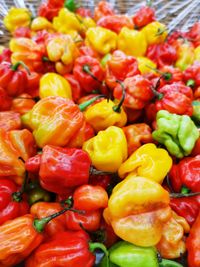 Full frame shot of chopped vegetables