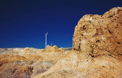 Cactus in desert against clear blue sky