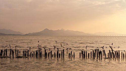 Scenic view of sea against sky during sunset