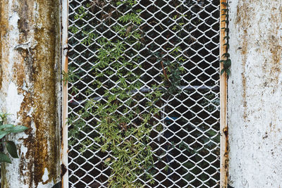 Close-up of rusty metal fence