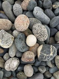 pebble