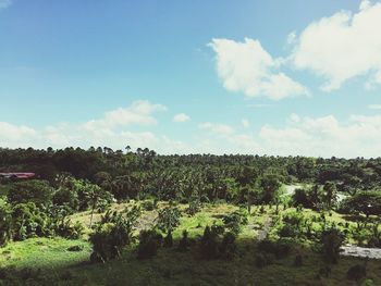 Scenic view of field against cloudy sky