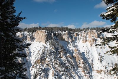 Panoramic view of snow covered land and trees against sky