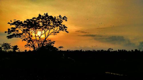 Silhouette tree on field against sky at sunset