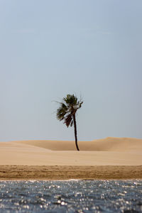 Scenic view of desert against sky
