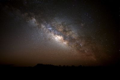 Low angle view of silhouette trees against sky at night