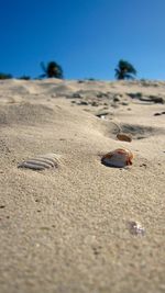 Close-up of sand on beach against clear sky