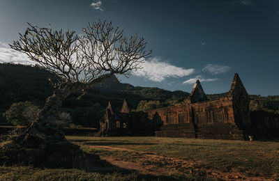 Old ruins of building and trees on field against sky