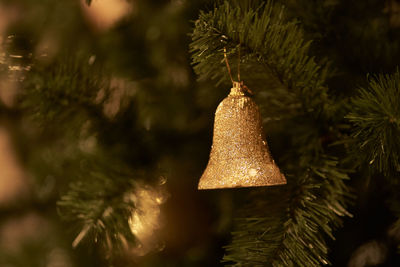 Close-up of christmas decorations