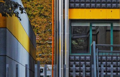 Close-up of yellow window