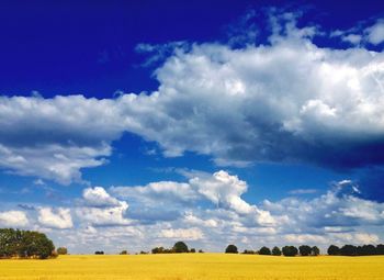 Scenic view of field against blue sky