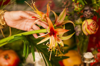 Close-up of hand holding flowering plant