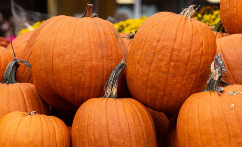 Close-up of pumpkins for sale at market stall