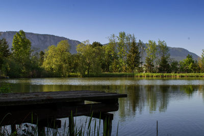 Scenic view of lake by trees against clear sky