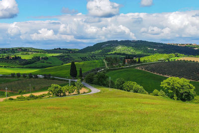 Scenic view of field against sky
