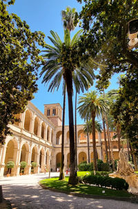 View of palm trees against sky