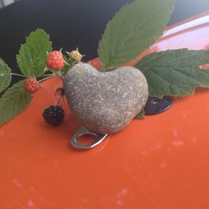 High angle view of strawberry plant on table