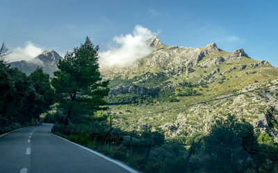 Road by trees against sky