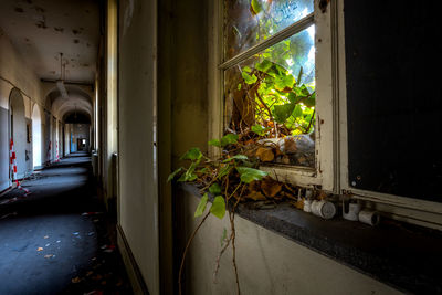 Interior of house