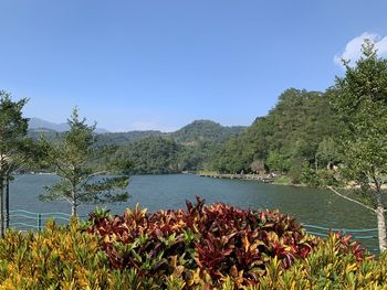 Scenic view of lake against clear sky
